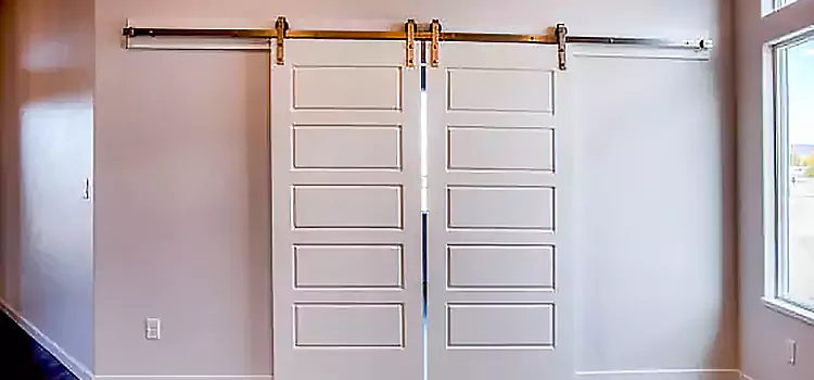 Glass Barn Door with Installation Hardware Kit Rockville Centre