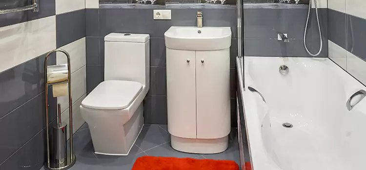 Hansgrohe Shaving Mirror Rockville Centre